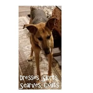 Dresses, Skirts, Scarves, & Coats